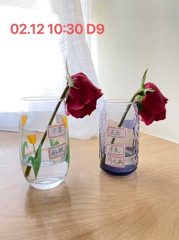 无形决定有形的说法,无形决定有形