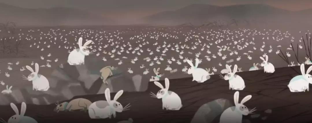 兔兔那么可爱为什么要吃兔兔呢,兔兔这么可爱为什么要吃兔兔