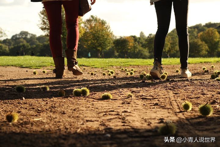 重游英国诺丁汉的真实感受,英国诺丁汉的生活是怎样一种体验