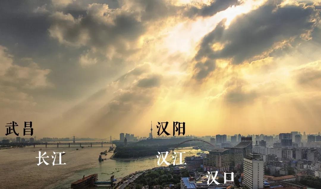 雷军张小龙李一男,雷军张小龙电视剧全集