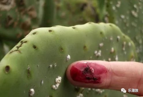 bbc科普类知识,bbc科普英文动画