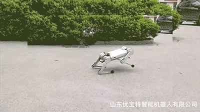 1万8元秋田犬出售,最新一代机器狗