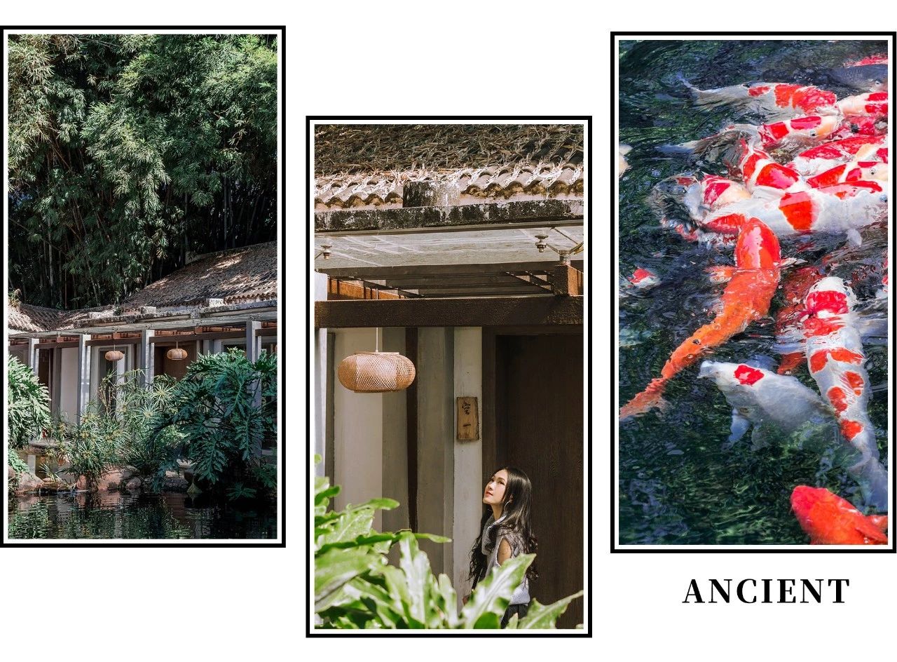 深圳十大顶级公园,深圳市十大风景公园排名