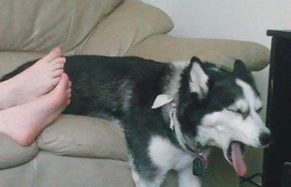 香港脚臭喷雾哪个好用,香港脚痊愈的征兆