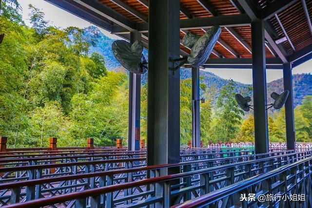 天目湖加南山竹海哪里泡温泉好,天目湖度假秘境享受绝美自然山水