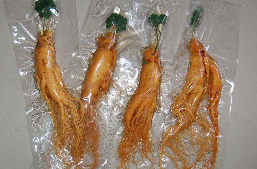 保鲜参和干参哪个更好,保鲜参和鲜参什么区别