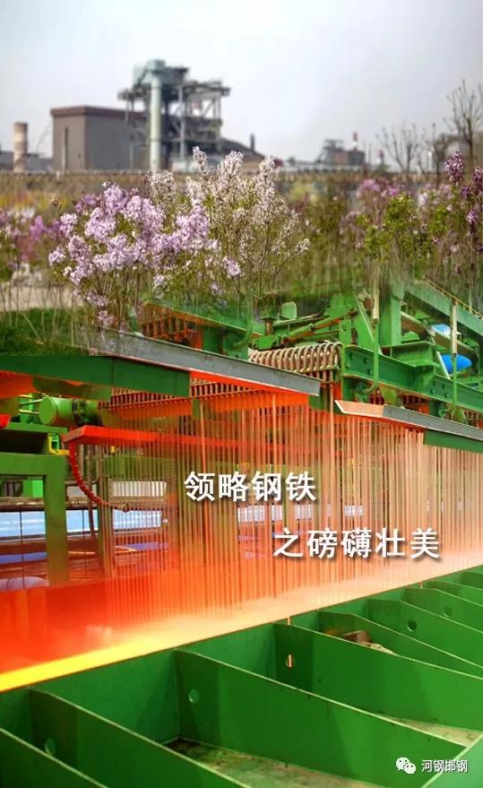 娌抽挗閭挗閾佽矾,娌抽挗閭挗楂樼倝