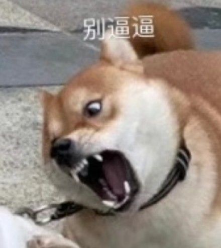 我突然有个大胆的想法表情包,我有一个大胆的想法表情包