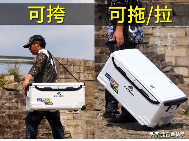 钓箱钓椅评测,钓箱钓椅什么样式好