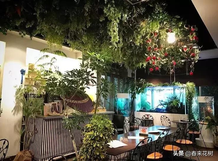 日本东京花店推荐,超美的花店