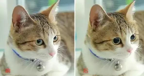 昔日的小甜甜,曾经的小甜甜