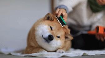 如何区分各种鼻炎用药方案,怎样区别鼻炎和感冒鼻塞