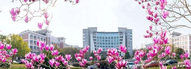 春日丽院，与你一起沐浴阳光