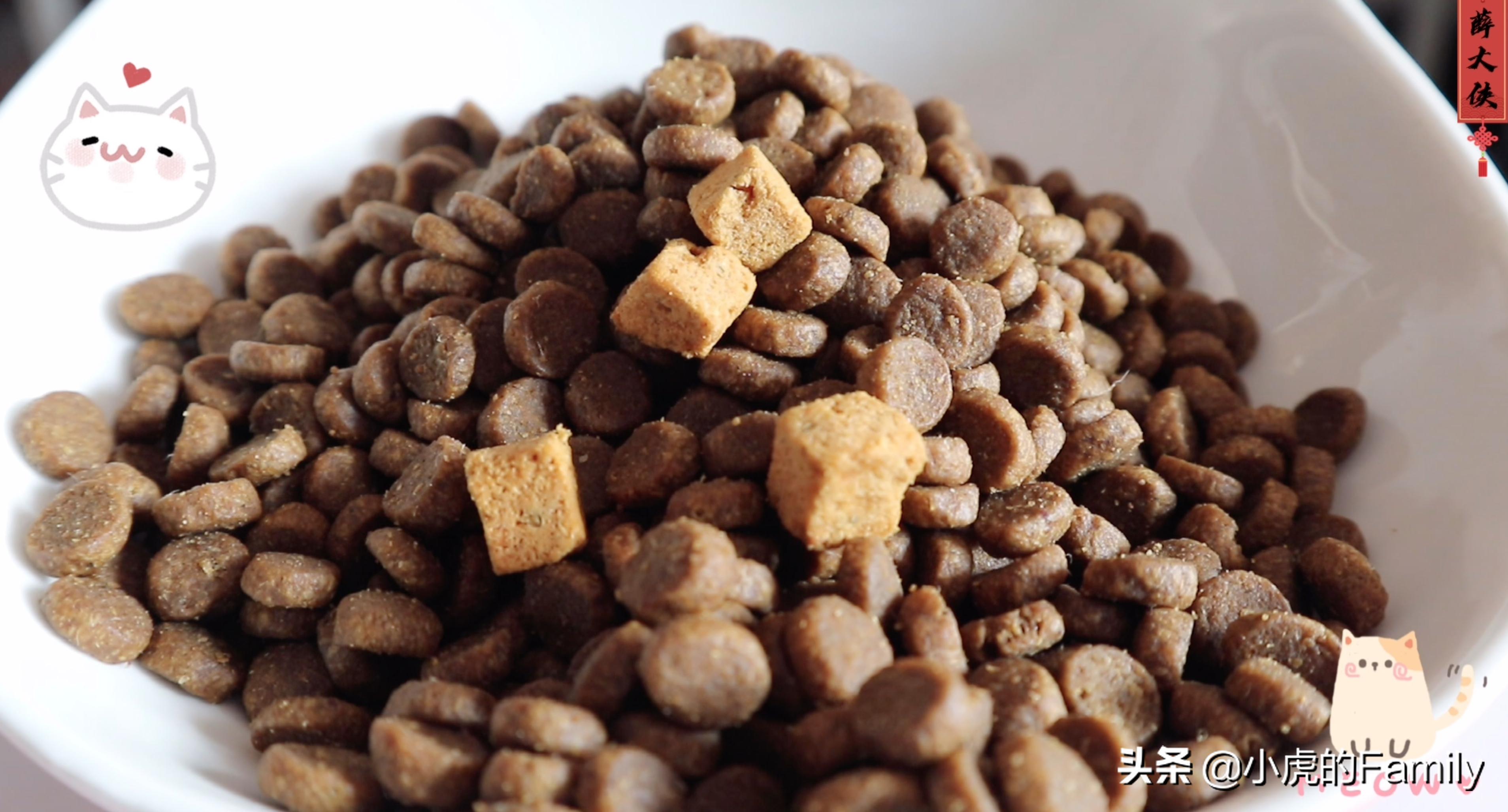 纽翠斯猫粮8719,纽翠斯猫粮11磅价格