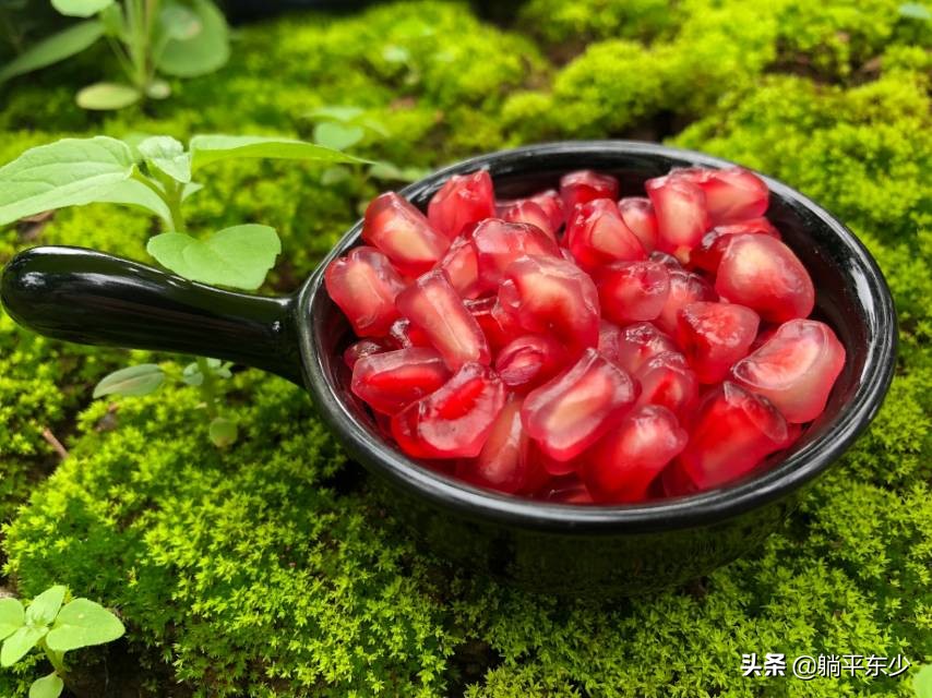 突尼斯软籽石榴苗真假辨别图片,突尼斯软籽石榴正宗苗