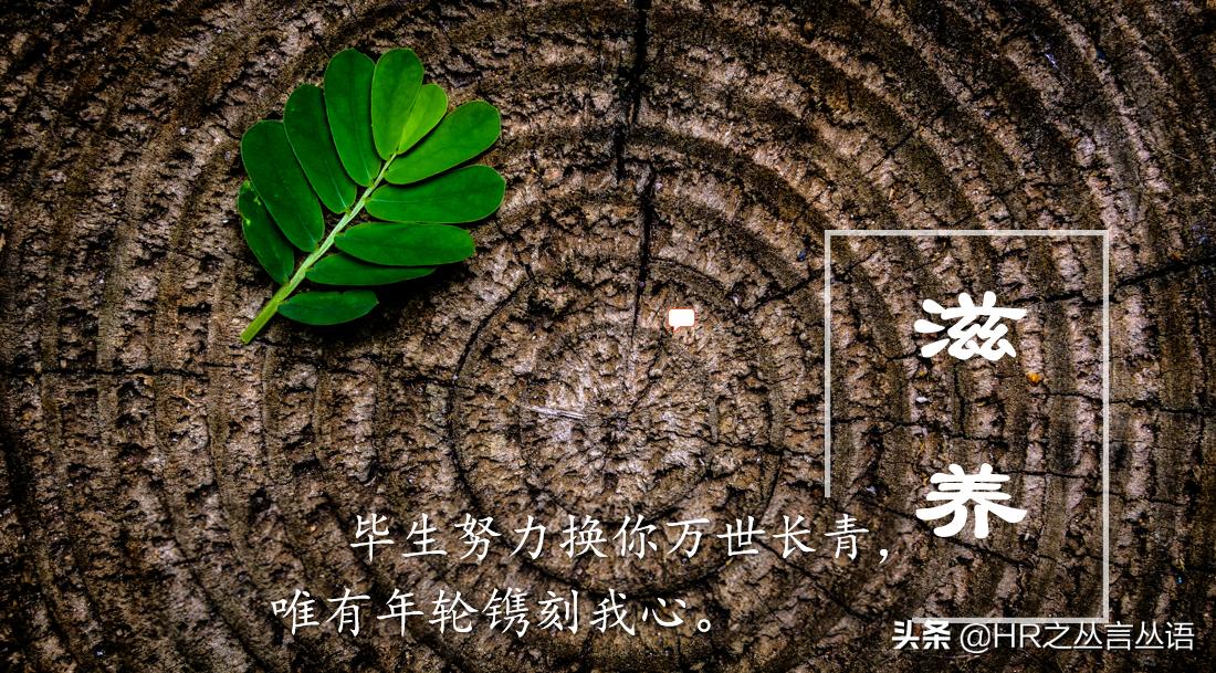 职场生存干不过写ppt怎么办,职场人不会做ppt怎么办