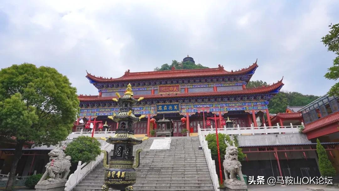 丁真全明星大乱斗图,丁真全明星大乱斗