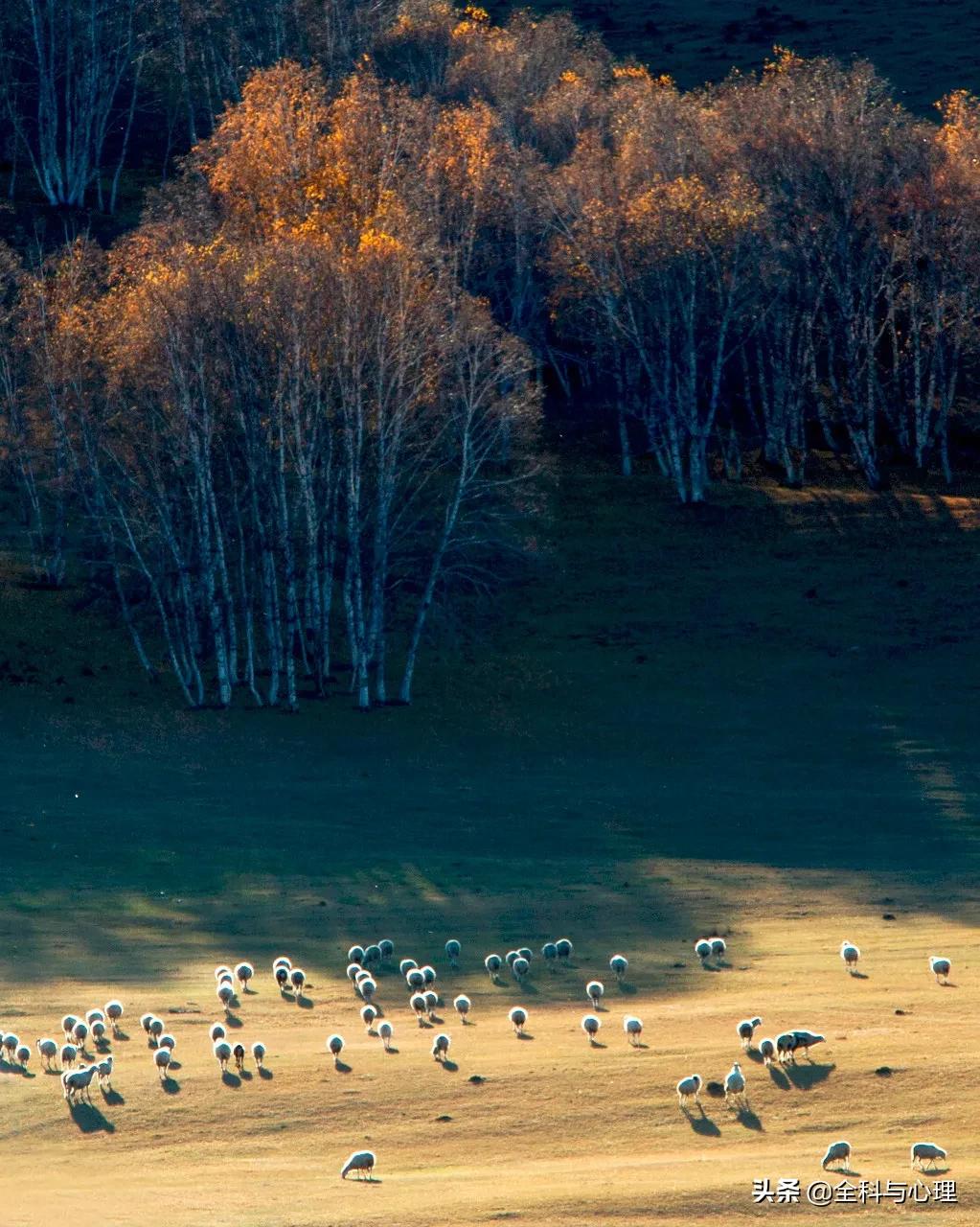 最美旅行地推荐,上半年国内最佳旅行地推荐