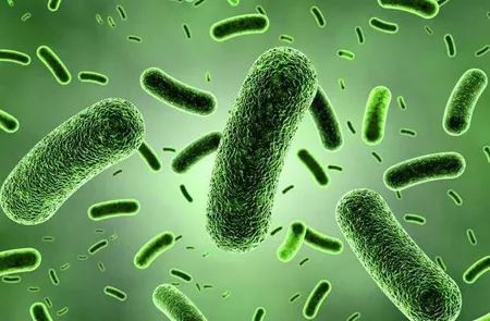 女童抠破“小红疙瘩”致下肢坏死，3次手术保命！医生：出现这些症状别不在意