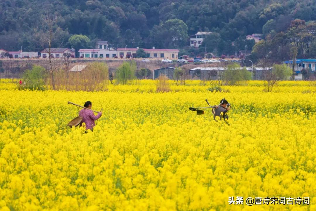 老翁七十犹强健，没膝春泥夜叱牛