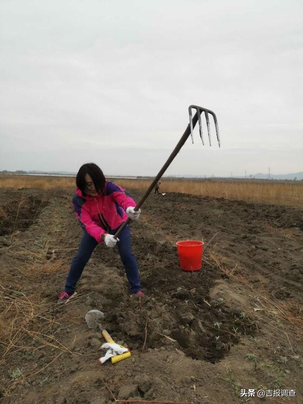 延边朝鲜族特色美食做法,朝鲜族美食手工