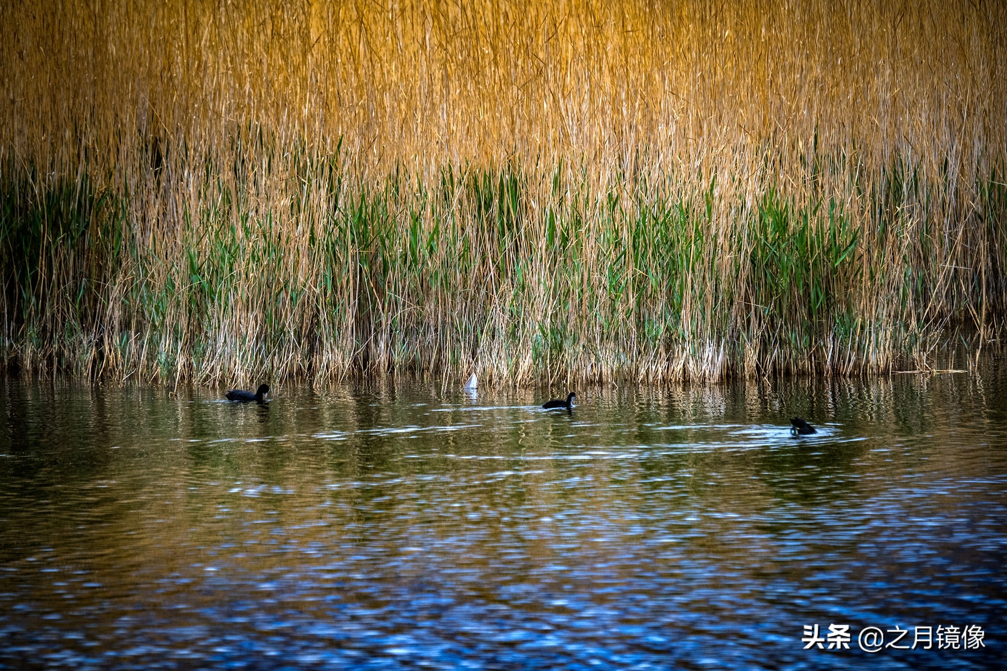 大柴达木湖和大柴旦翡翠湖,大柴旦翡翠湖在柴达木盆地