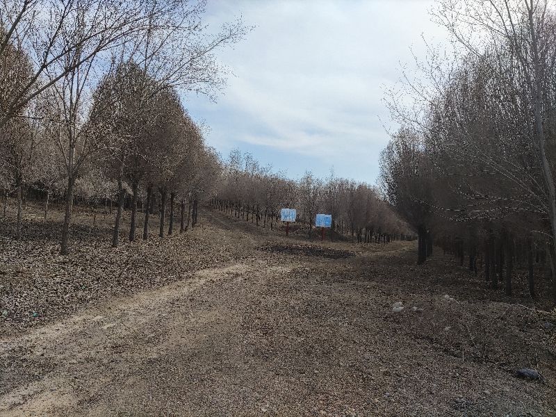 乌鲁木齐周边野营游玩好去处,新疆乌鲁木齐户外游玩