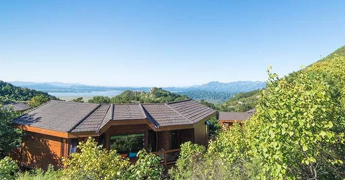 特色树屋民宿度假屋设计方案,很有创意的木屋