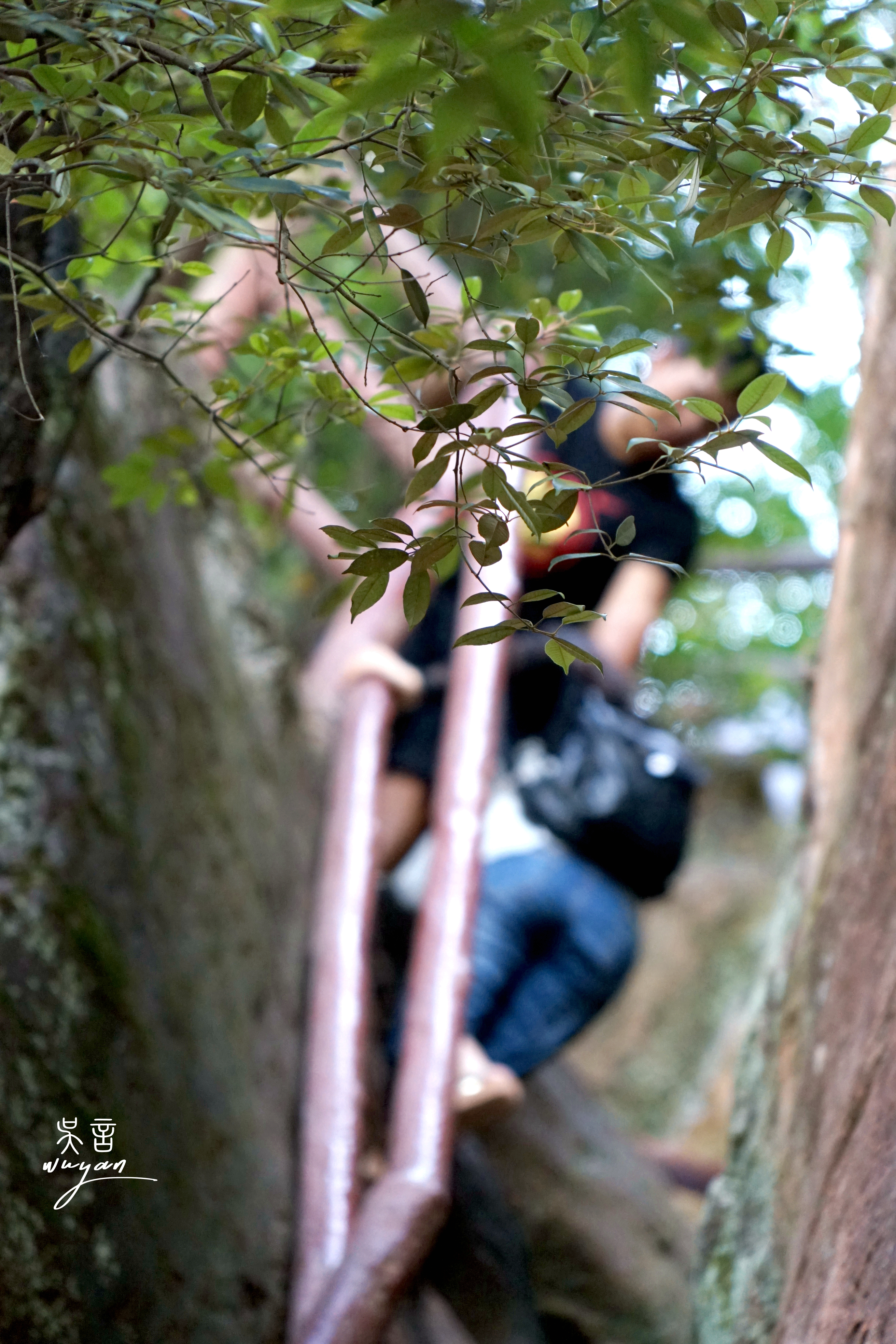 中国浪漫情人节,浪漫中国情人节