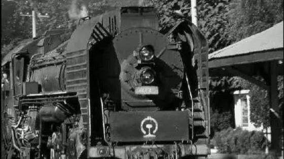 微山湖荷花池美景,微山湖红荷湿地公园旅游攻略最新