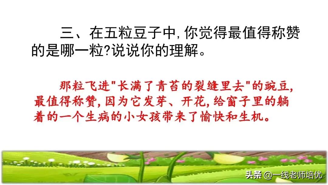四年级上册豆荚里的五粒豆笔记,一个豆荚里的五粒豆四年级课文