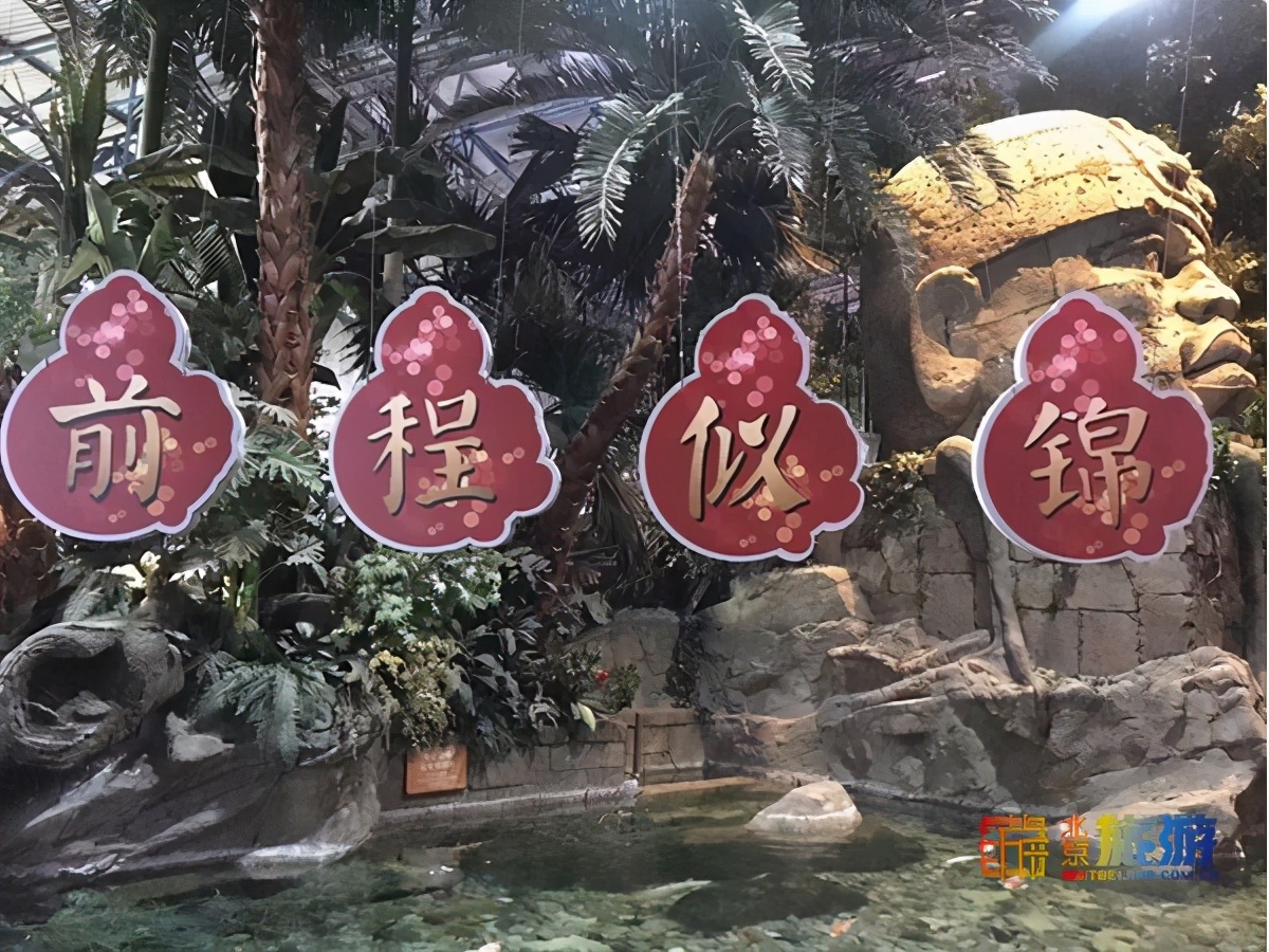 北京动物园海洋馆锦鲤,北京海洋馆锦鲤