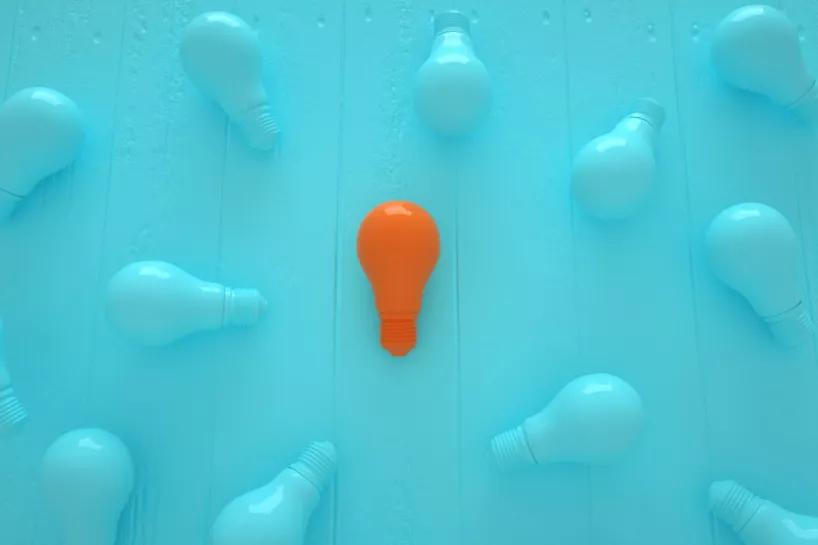 流浪狗怎么建立信任,销售信任建立的方法和技巧