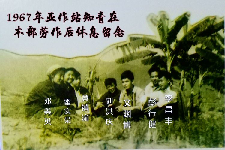 难以释怀的知青情结,60年代的知青情结