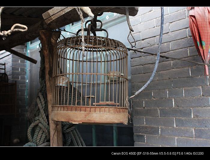 记录农家小院的真实生活,北方农村隐居田园的生活