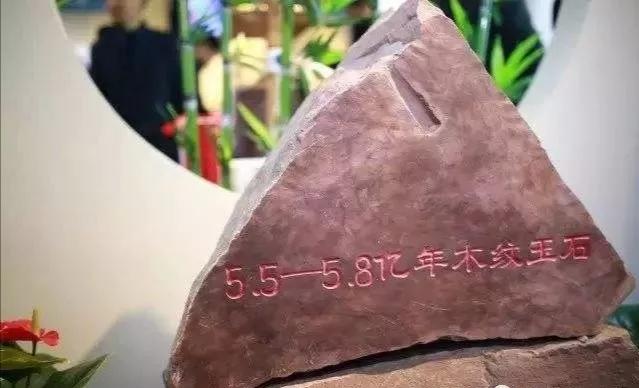 马仁水,木鱼石和石头哪个好