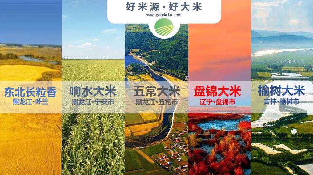 浜ㄥ埄闊充箰棣嗗紶鍝茶僵,寮犲摬杞╀酣鍒╅煶涔愰