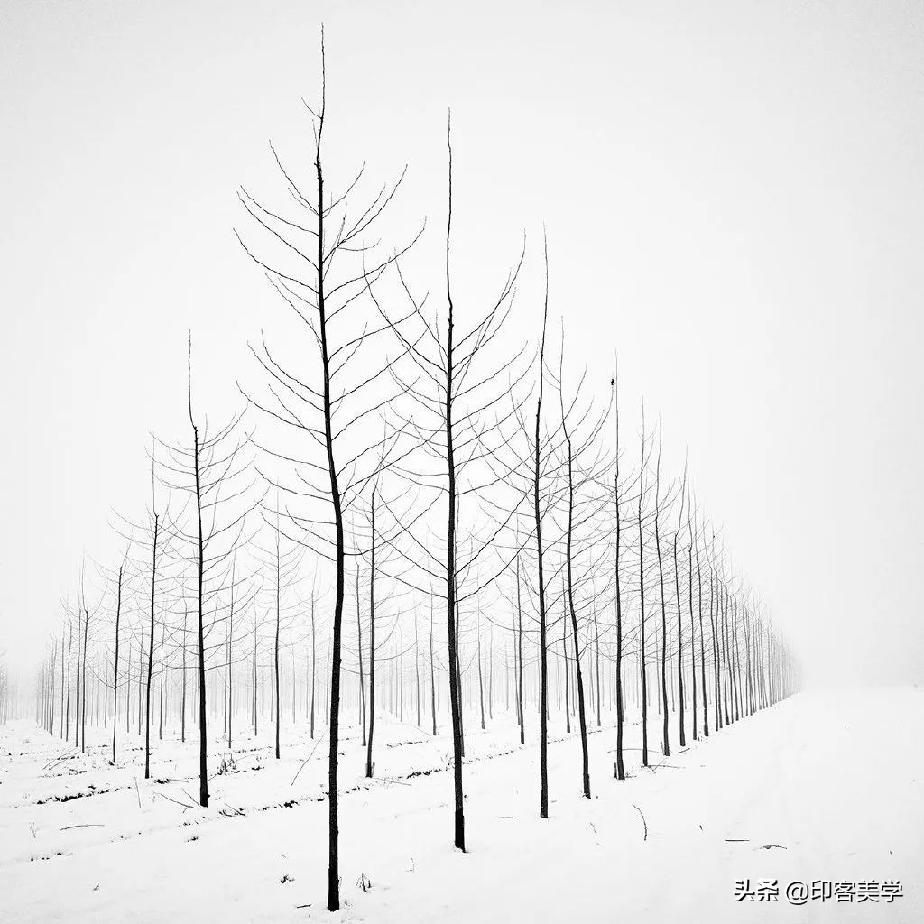 四季插画图片大全,100张唯美插画图