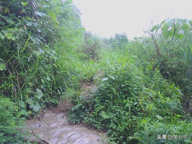 贵州遵义安场古道,贵州正安羊角老古道