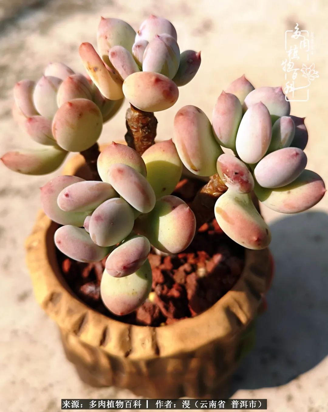 风过留痕讲的啥,风过留痕朗诵