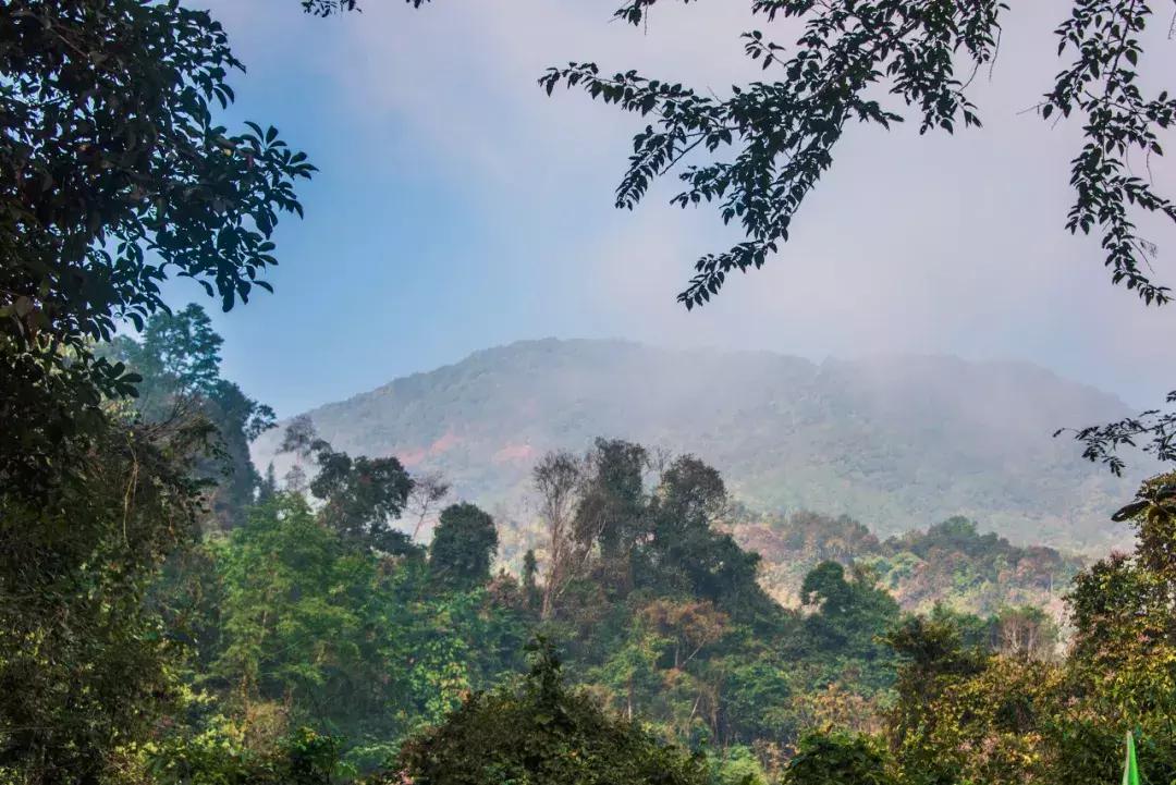 云南中越边境小城,云南新兴网红城市