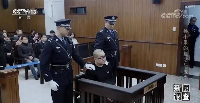 社会与法孙小果,社会评论孙小果