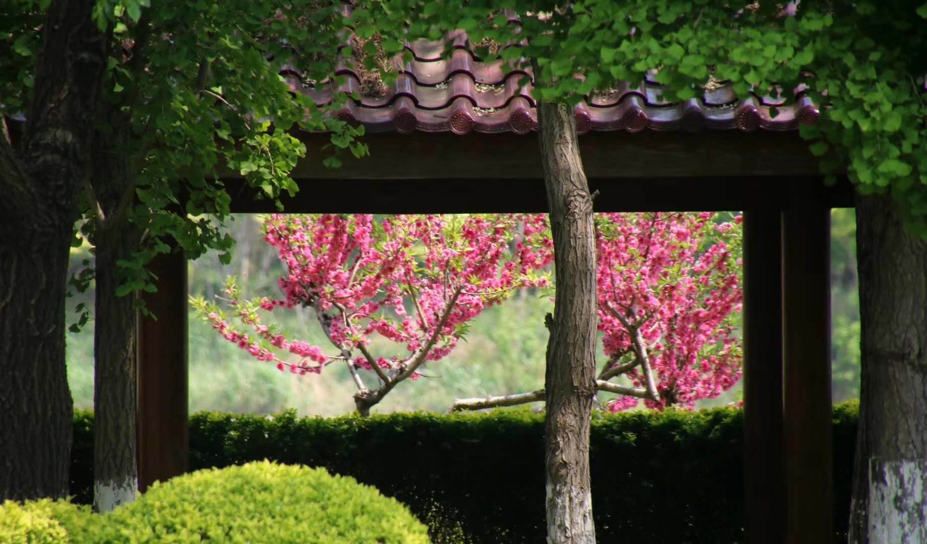 常见的投资理财产品及特点,笔记整理10个技巧