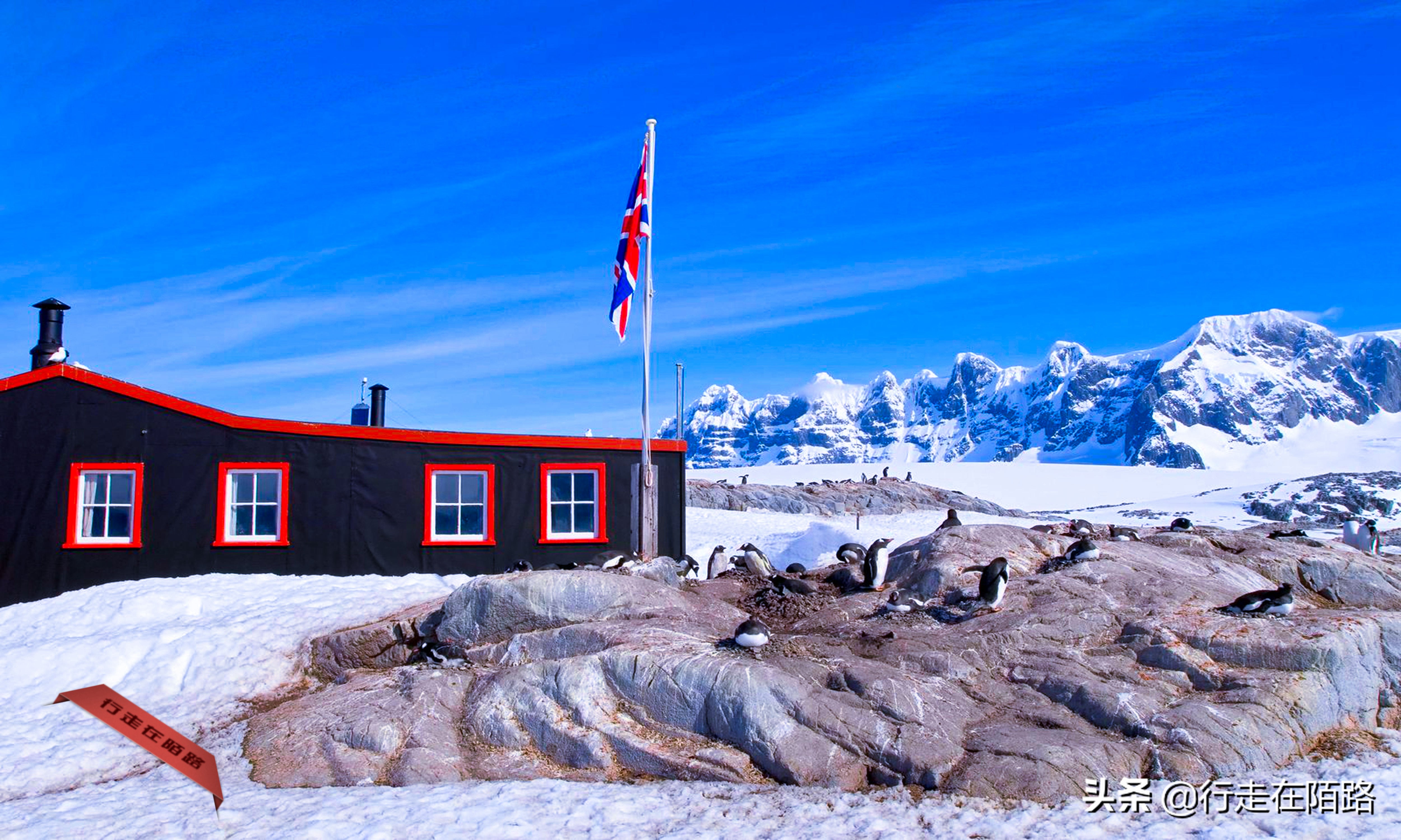 铲屎官招聘,邮局招聘吗