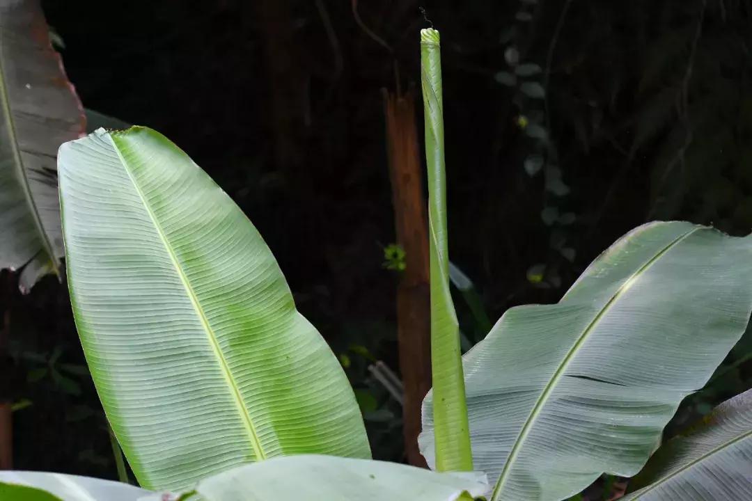 非常凉快的避暑胜地,除了空调还有什么可以吹冷风