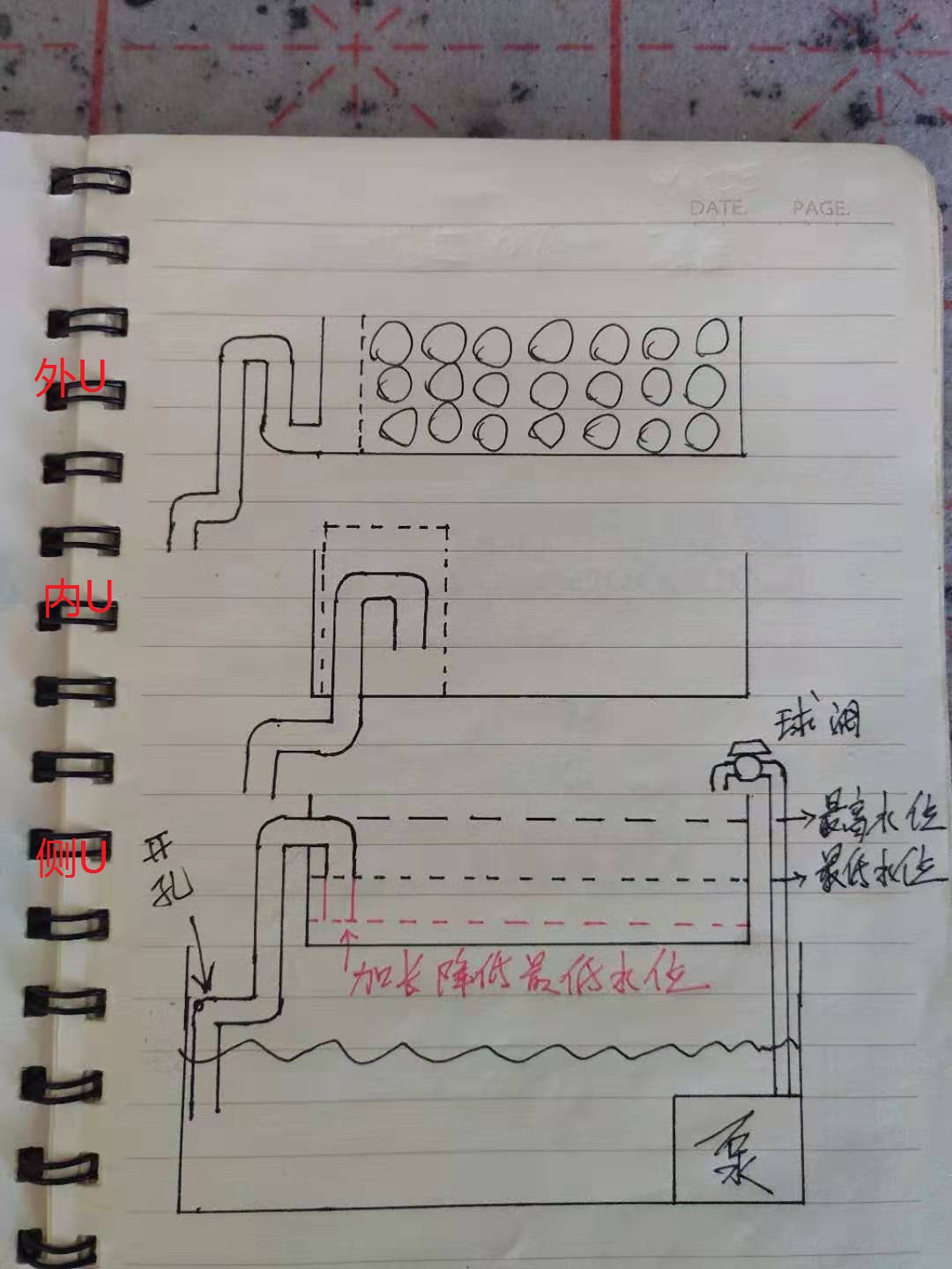 龟菜共生种植技术视频,龟菜共生系统详解