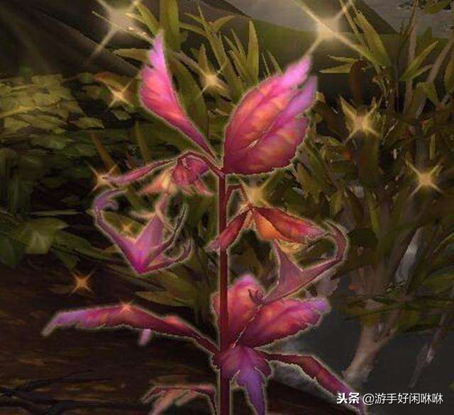 魔兽世界新手玩月卡,魔兽世界8.0.1攻略