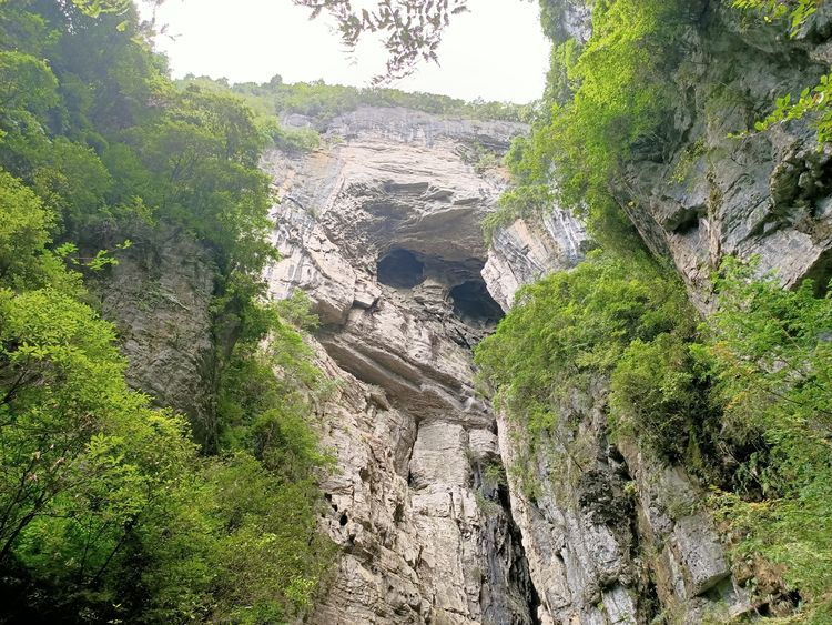 大美武隆仙女山,畅游重庆武隆区仙女山