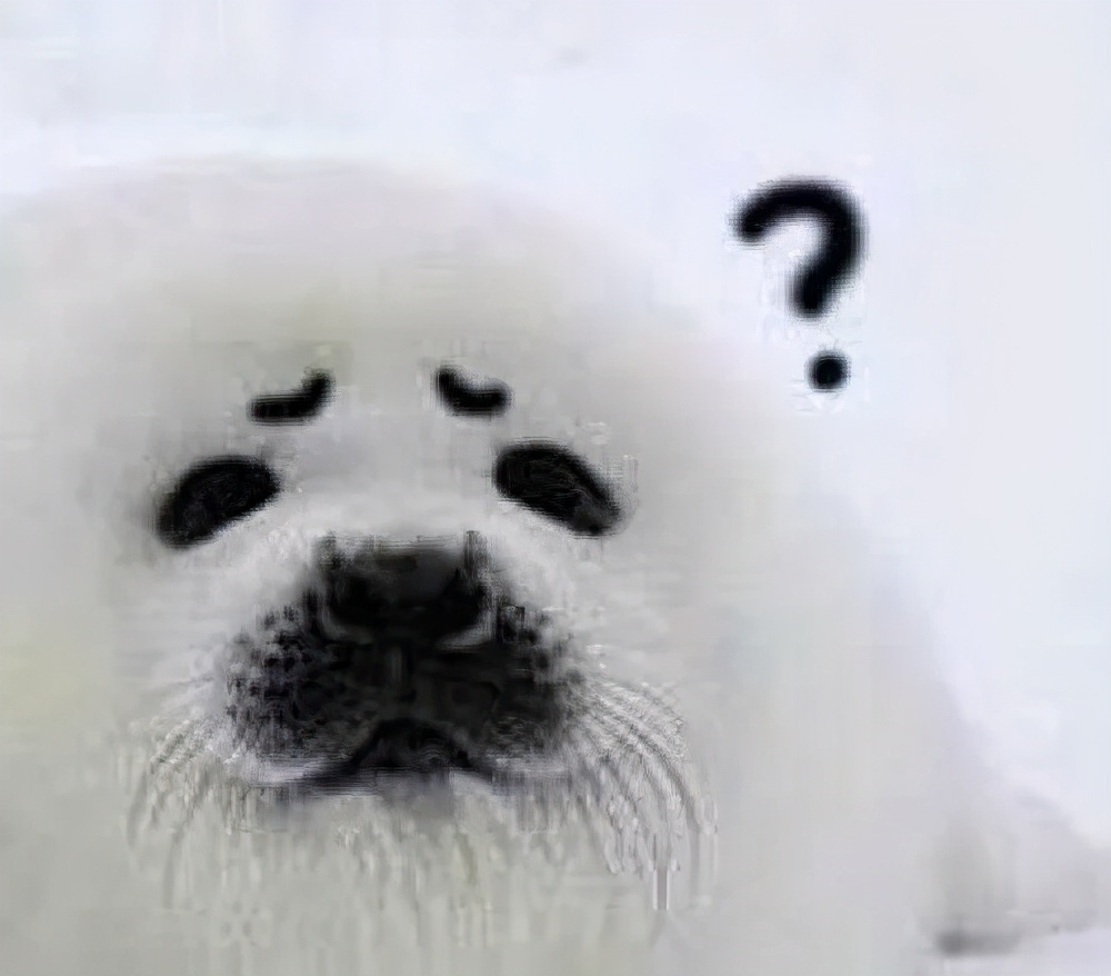 顺德摩托车入户在哪里办理,顺德摩托车入户上牌流程