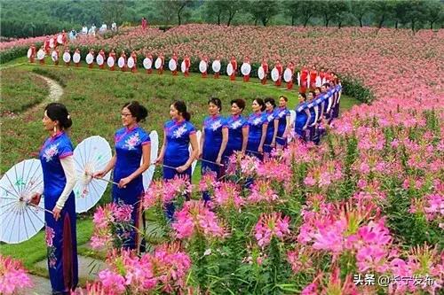 古河是哪里,这就是大运河原文